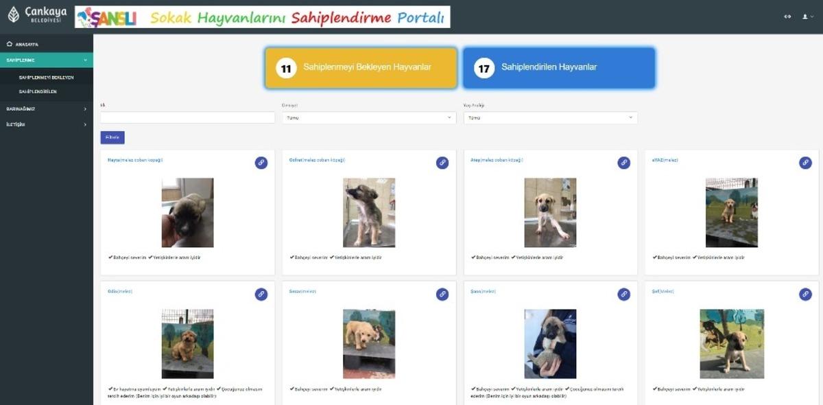 &Ccedil;ankaya Belediyesi &ldquo;sokak hayvanlarını sahiplendirme portalı&rdquo; oluşturdu