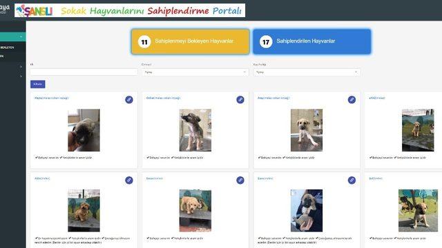 Çankaya Belediyesi “sokak hayvanlarını sahiplendirme portalı” oluşturdu