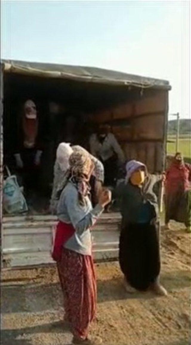 Kamyonetle balık istifi yolculuk 1