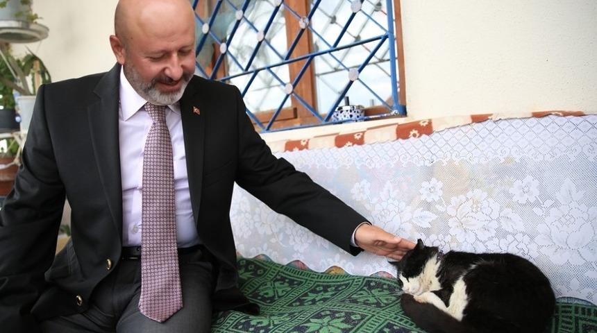 Kocasinan&rsquo;dan k&uuml;&ccedil;&uuml;k dostlara sıcak bir yuva olacak &lsquo;Kedi Kasabası&rsquo;