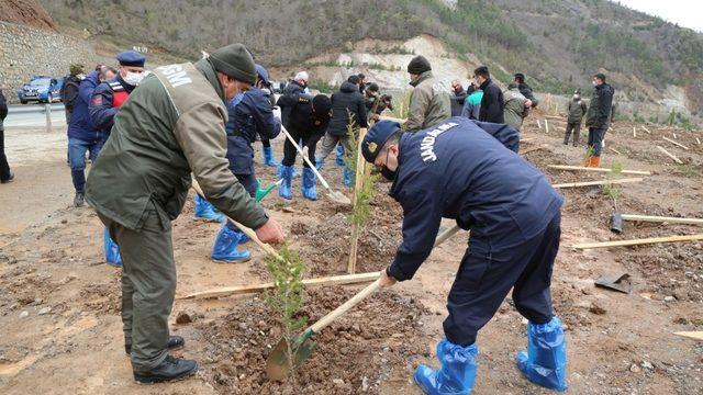 Artvin’de fidanlar toprakla buluştu