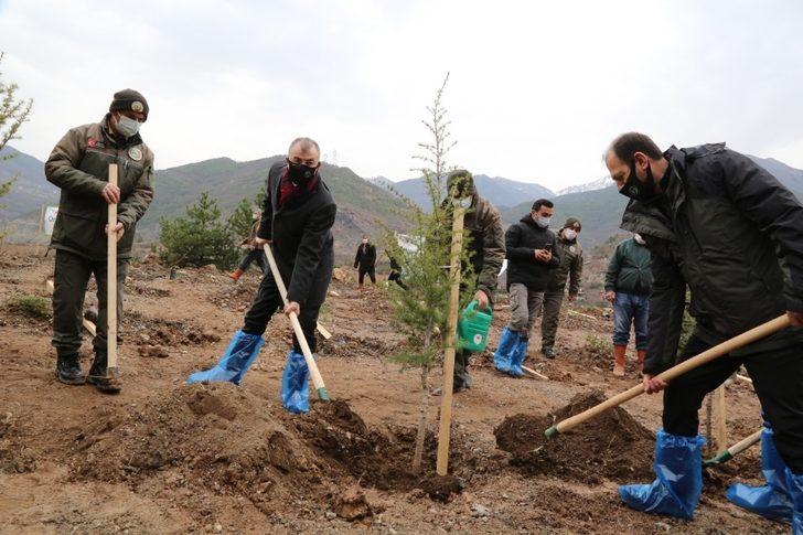 Artvin’de fidanlar toprakla buluştu G3