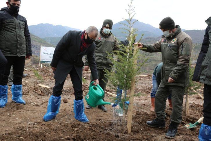 Artvin’de fidanlar toprakla buluştu G4