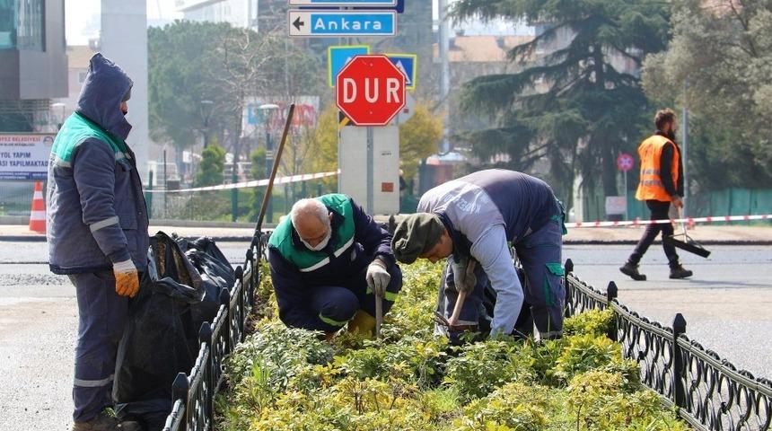 Körfez’in yeşiline binlerce fidanlık katkı