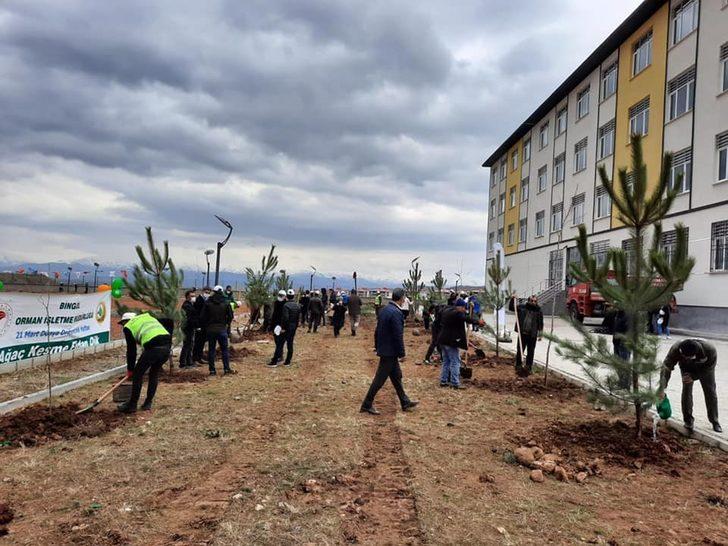 Bingöl’de bin 200 adet fidan toprakla buluşturuldu G3