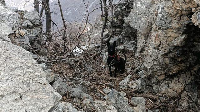 PKK’lı teröristlere ait 2 el yapımı patlayıcı jandarma ekiplerince imha edildi