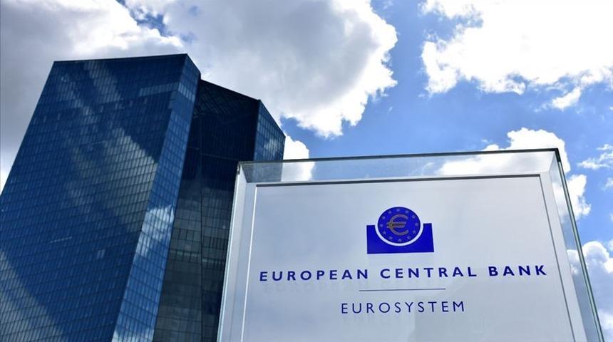 'Avro Bölgesi bankaları geri dönmeyen kredilerde artışa hazır olmalı'