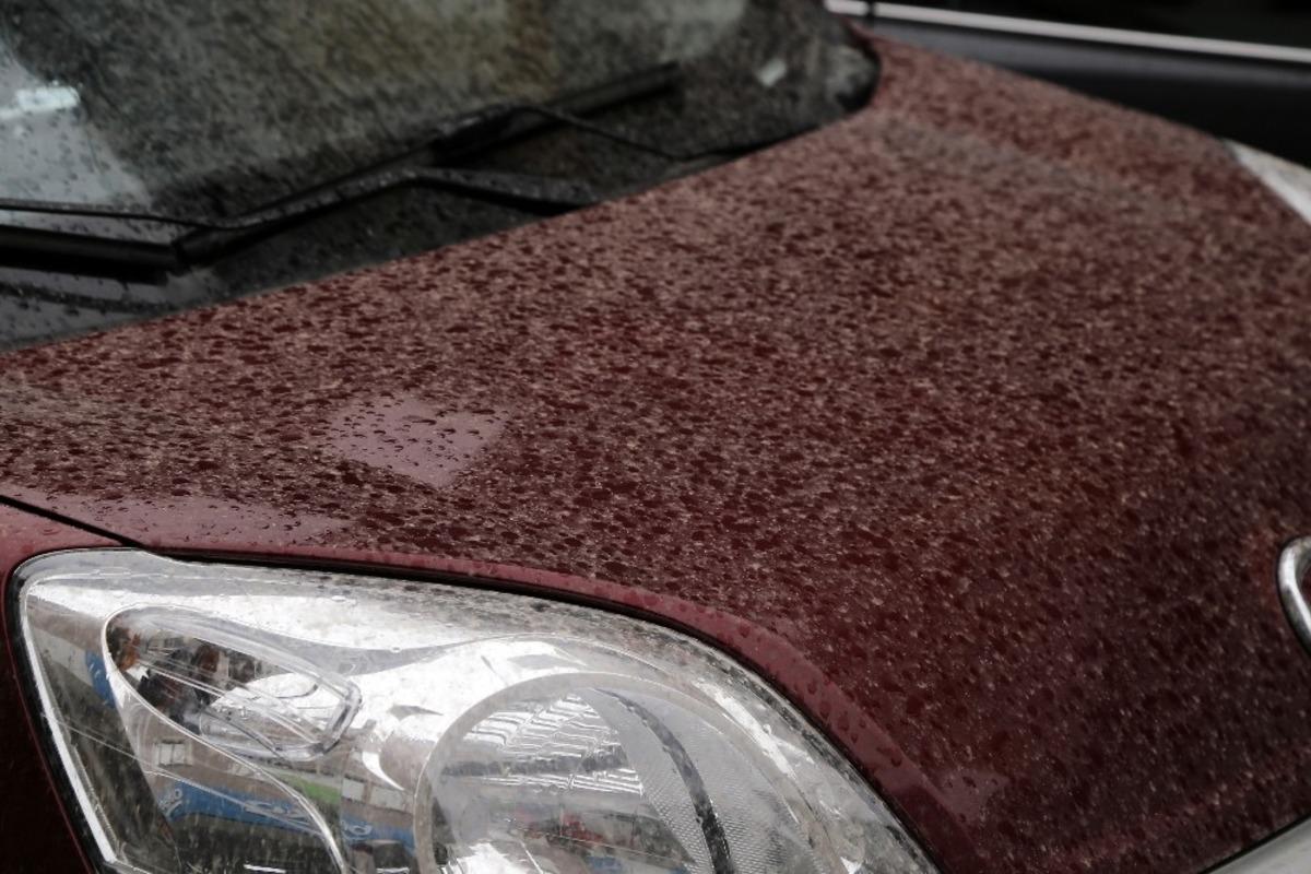 G&uuml;m&uuml;şhane&rsquo;ye &ccedil;amur yağdı