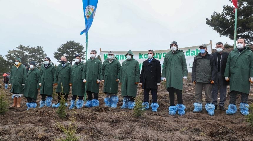 Fidanlar toprakla buluştu