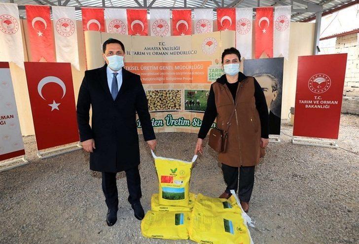 Amasya’da çiftçilere 20 ton yonca tohumu dağıtıldı G2
