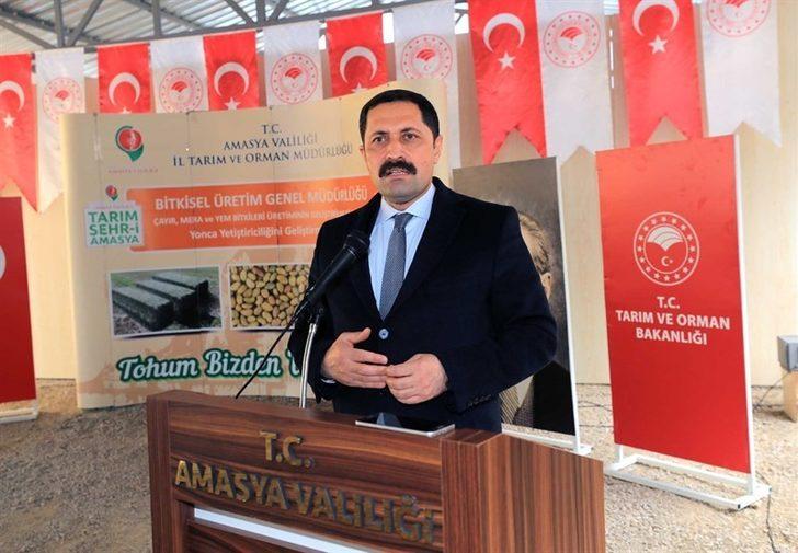 Amasya’da çiftçilere 20 ton yonca tohumu dağıtıldı G3