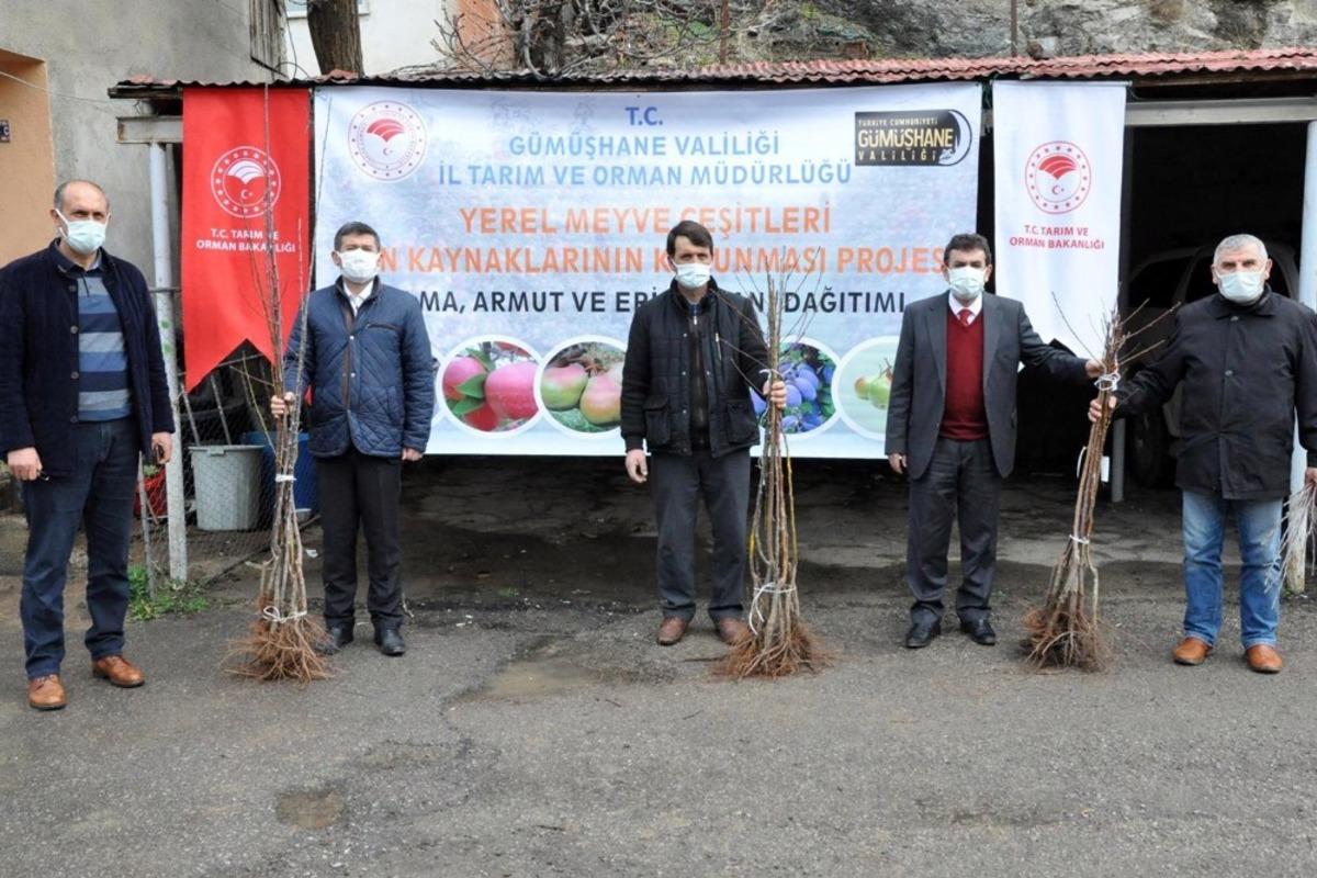 G&uuml;m&uuml;şhane&rsquo;de &uuml;reticilere 4 bin adet yerli meyve fidanı dağıtıldı