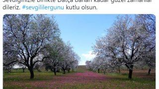 Datça Belediyesi NFT akımına katıldı: Sevgililer Günü tweet'i satışa çıktı!