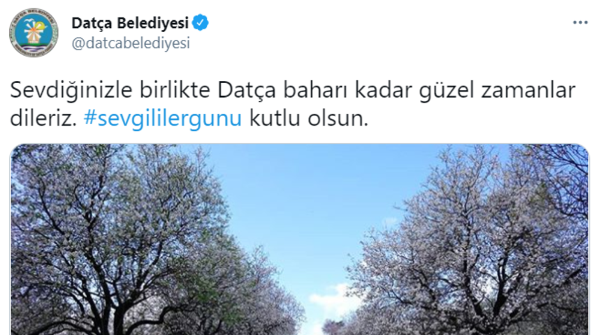 Datça Belediyesi NFT akımına katıldı: Sevgililer Günü tweet'i satışa çıktı!