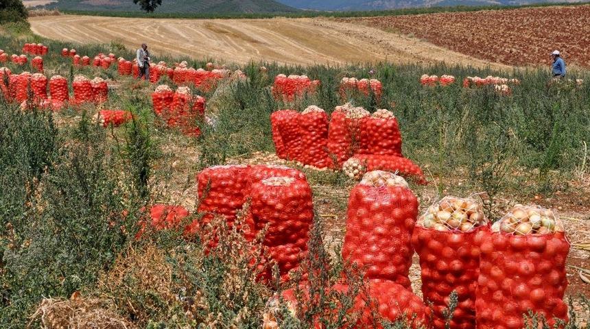 Bursa&rsquo;da tarımda da atıklar sıfırlanıyor