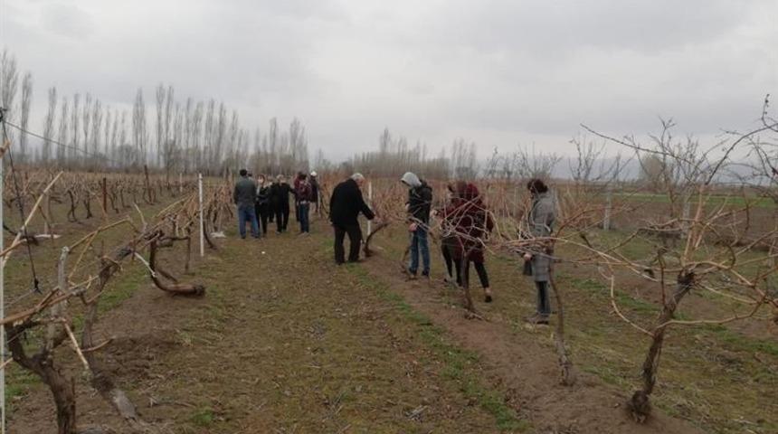 Bağcılık yapan &ccedil;ift&ccedil;ilere budama eğitimi verildi