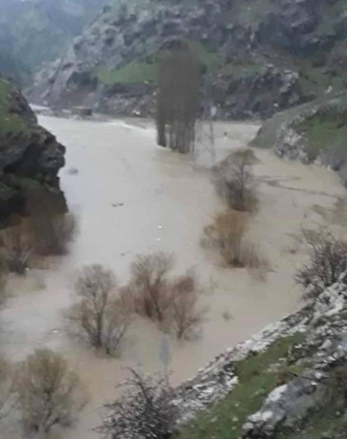 Taşan dere suları Derecik karayolunu kapattı