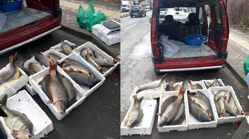 Tekirdağ&rsquo;da avcılığı yasaklanan 10 kasa sazan ele ge&ccedil;irildi