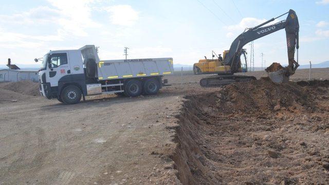 Beylikova’ya 200 hayvan kapasiteli yetiştirme alanı inşa ediliyor