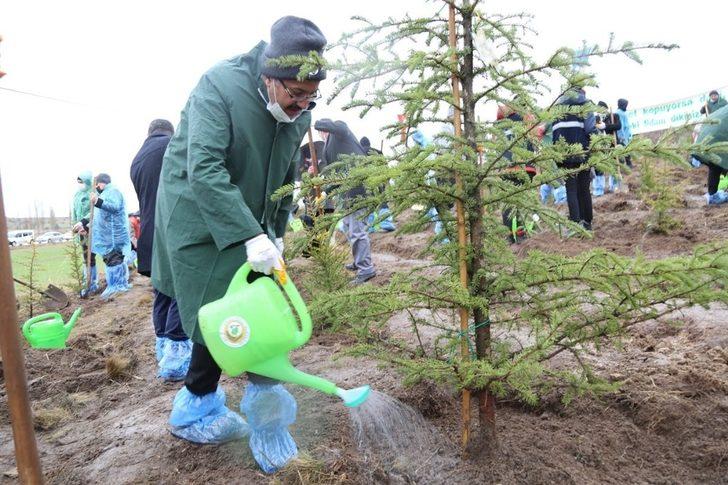 Kütahya’da 400 fidan toprakla buluştu G1
