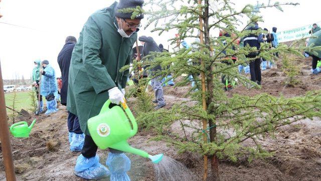 Kütahya’da 400 fidan toprakla buluştu