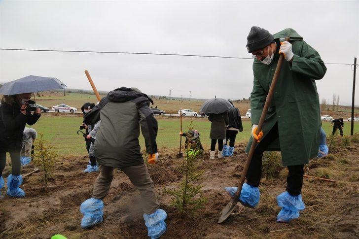 Kütahya’da 400 fidan toprakla buluştu G2