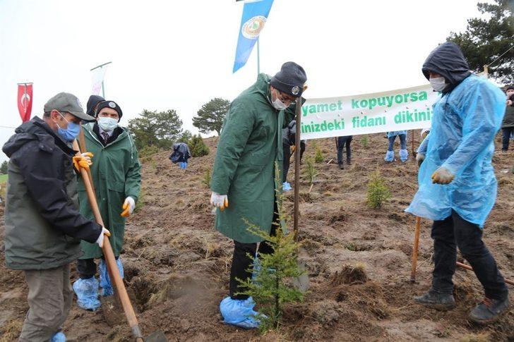 Kütahya’da 400 fidan toprakla buluştu G3
