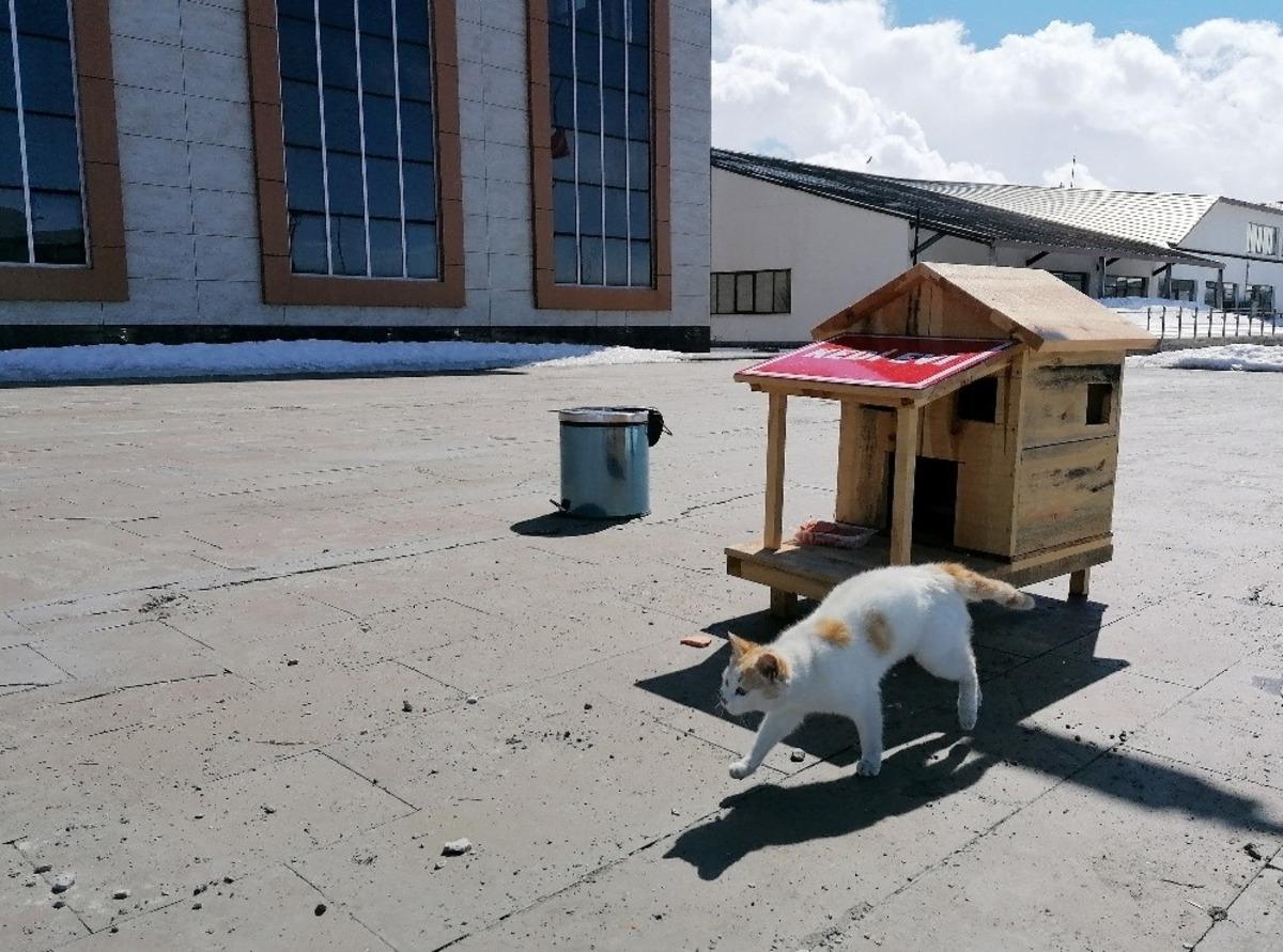 Aİ&Ccedil;&Uuml;&rsquo;de Minik Dostlar Unutulmadı