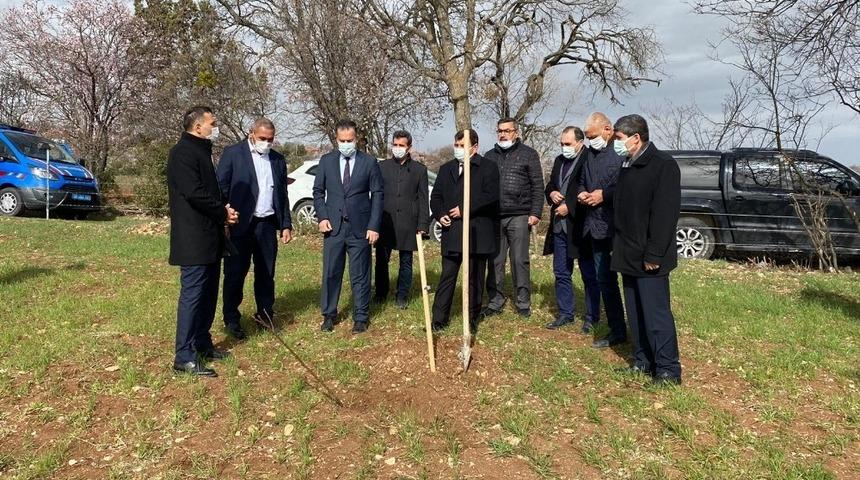 Dinar&rsquo;da deneme ama&ccedil;lı kestane fidanı dikildi