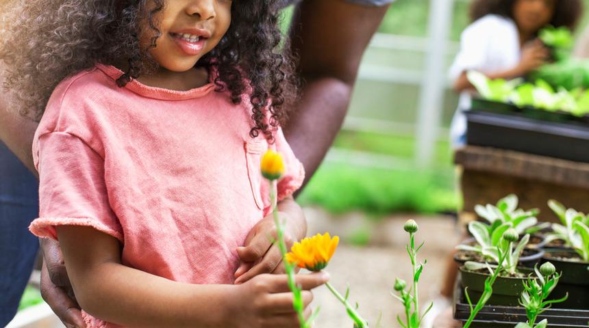 Altı yaşındaki çocuk, çiçek kopardığı için mahkemeye çıktı!