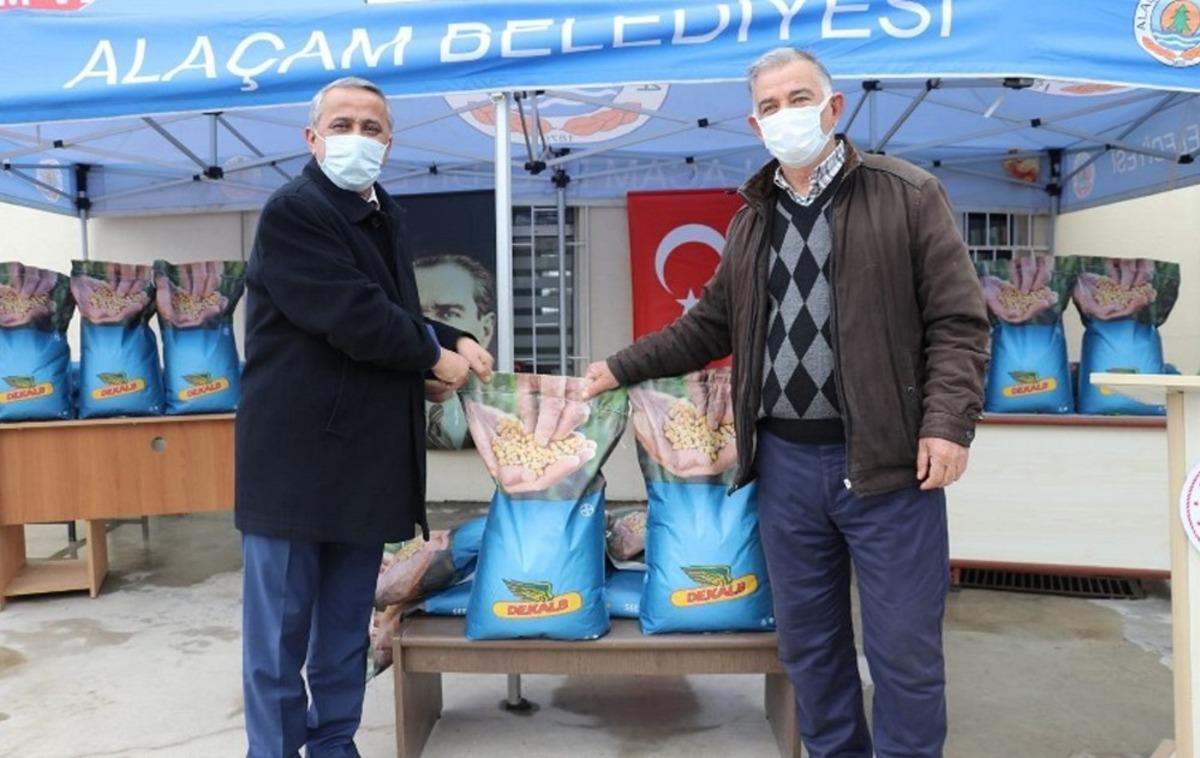 Samsun&rsquo;da &ccedil;ift&ccedil;ilere 12 bin kilogram silajlık mısır tohumu hibesi