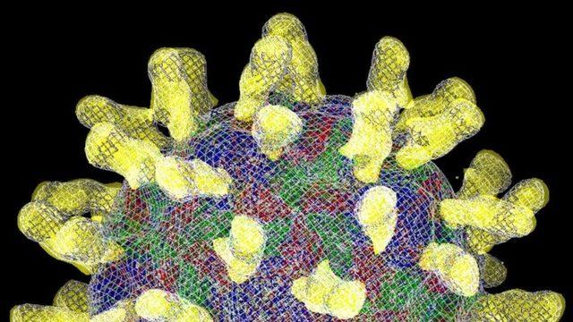 Soğuk Algınlığı Virüsü Corona’yı Vücuttan Atabilir mi?