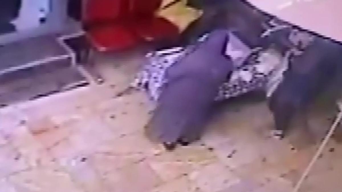 Arkadaşının yardımına koşan esnaf d&ouml;nd&uuml;ğ&uuml;nde şoku yaşadı