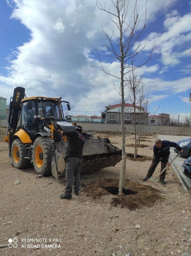 Tuşba Belediyesi bahar mesaisine erken başladı G4