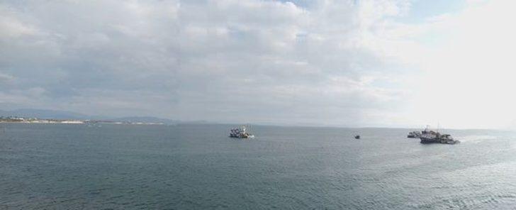 Deniz patlıcanı avcılığı 15 Nisan’da sona eriyor G2