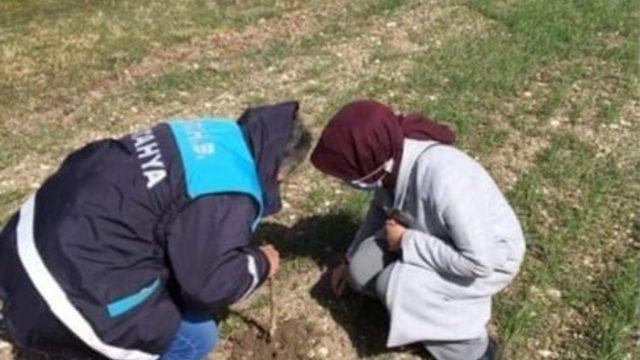 Haşhaş ekili alanlar kontrol edildi