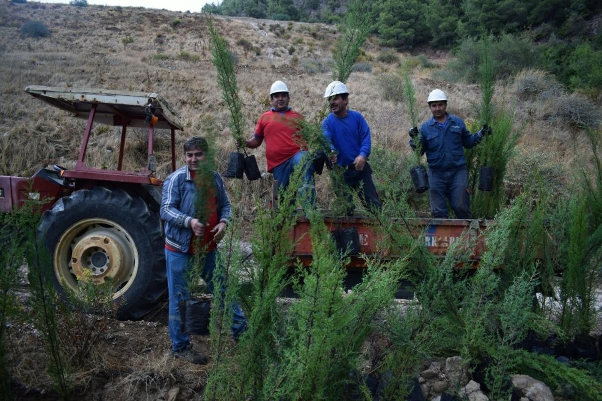 YK Enerji&rsquo;den 3 yılda 1 milyon ağa&ccedil;