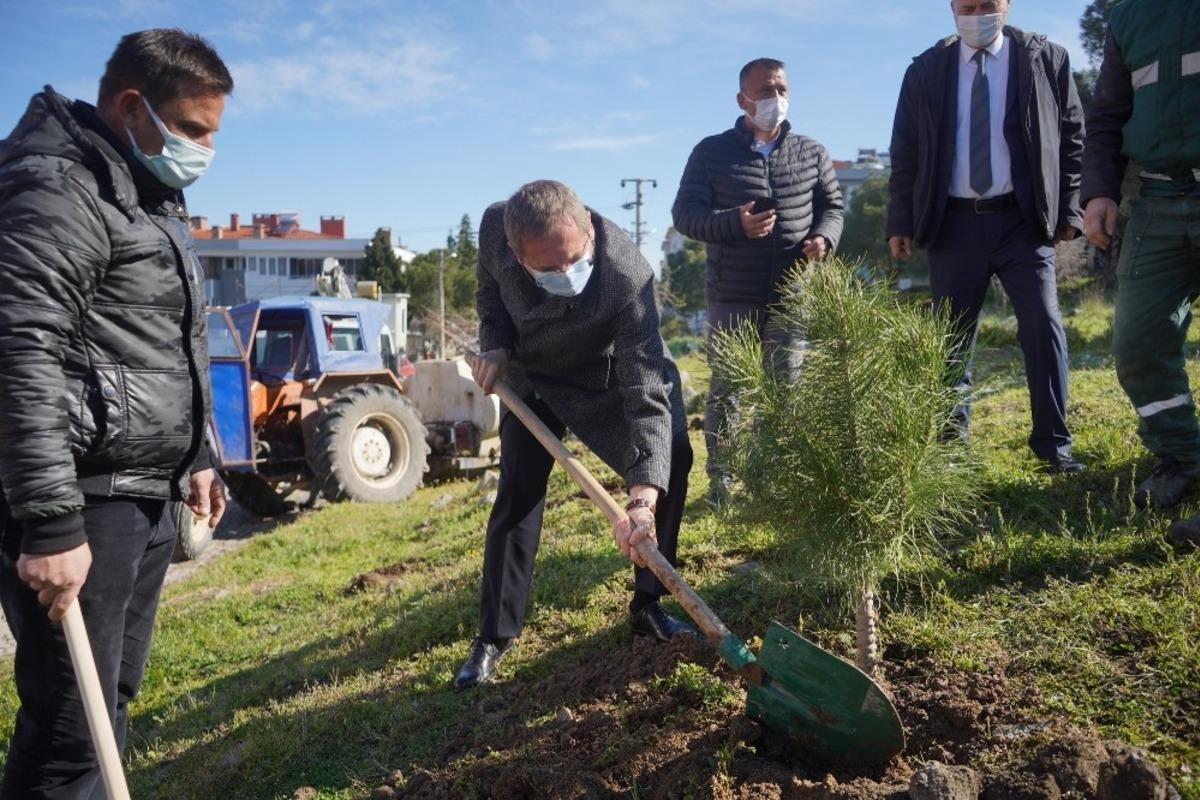 Ayvalık&rsquo;ta 300 fidan toprakla buluşturuldu