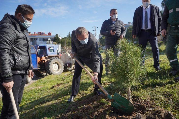 Ayvalık’ta 300 fidan toprakla buluşturuldu G1