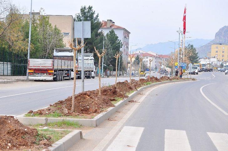 Diyarbakır Büyükşehir Belediyesi, ilçelerde 664 ağaç dikti G2
