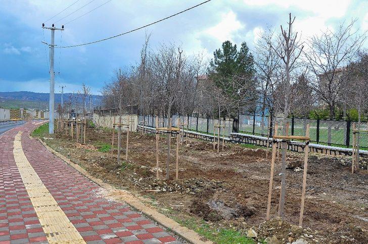 Diyarbakır Büyükşehir Belediyesi, ilçelerde 664 ağaç dikti G4