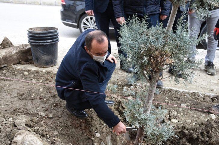 İskilip’te ağaçlandırma çalışmaları devam ediyor G4