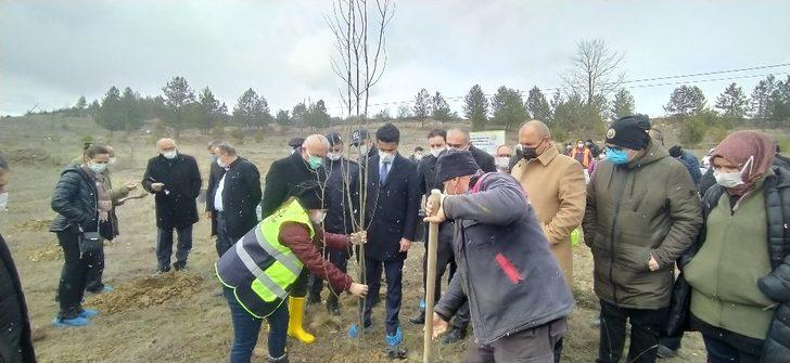 Daday’da 200 üryani eriği toprakla buluştu G2
