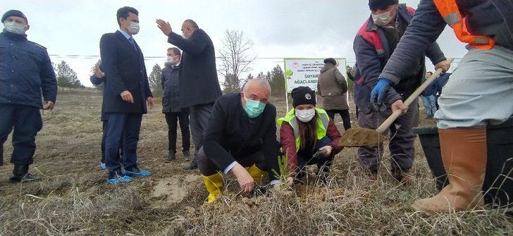 Daday’da 200 üryani eriği toprakla buluştu G3