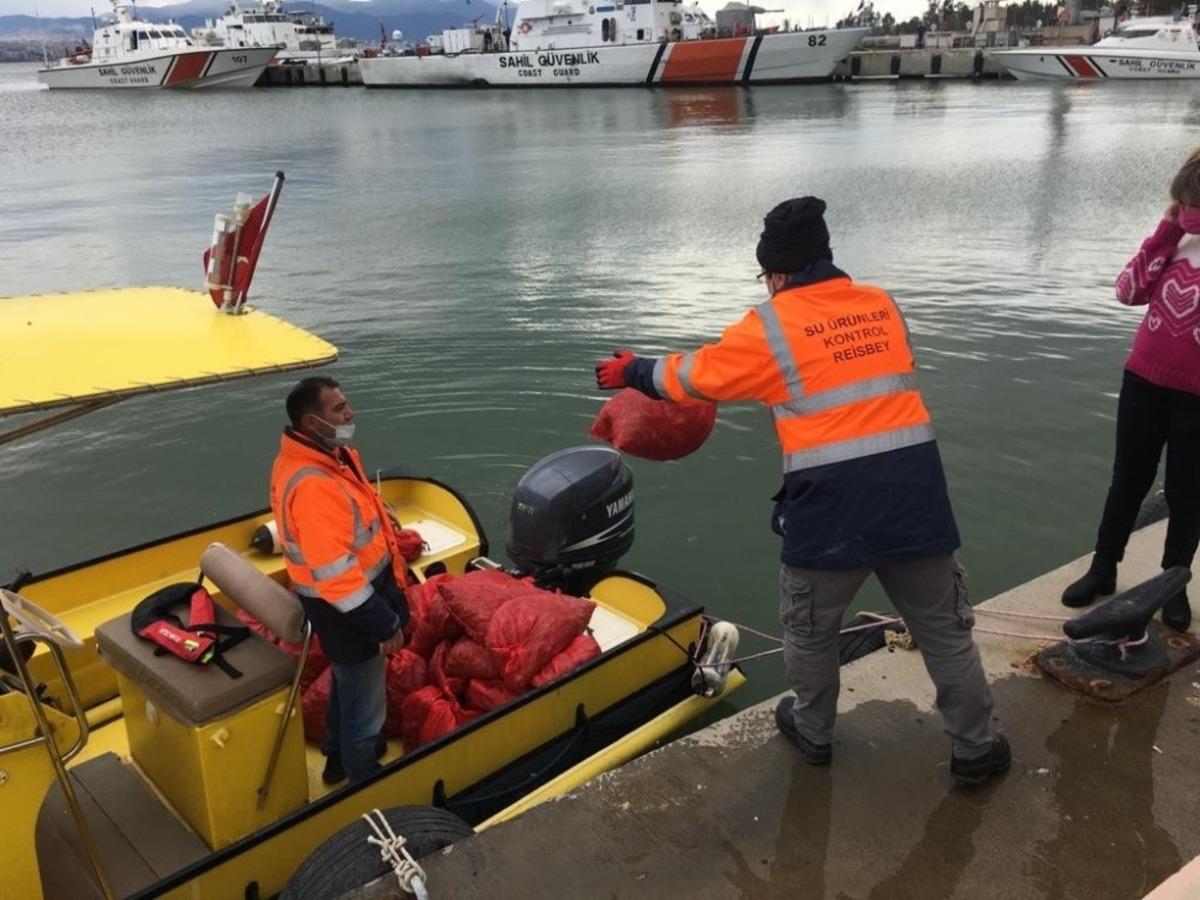 Ka&ccedil;ak avlanan 700 kilo akivades denize iade edildi