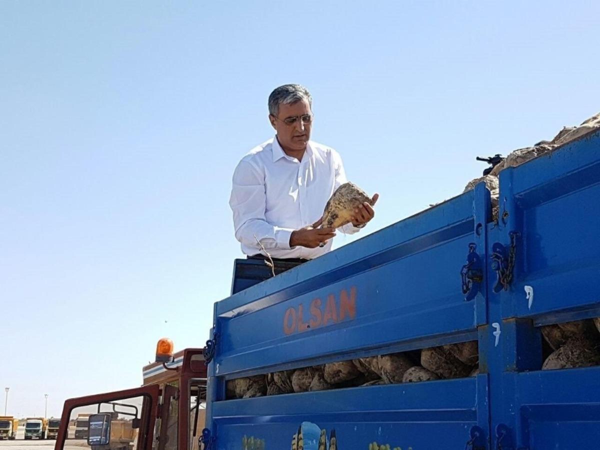 Konya Şeker pancar &uuml;reticisine 1,4 milyar TL&rsquo;lik pancar bedeli &ouml;dedi