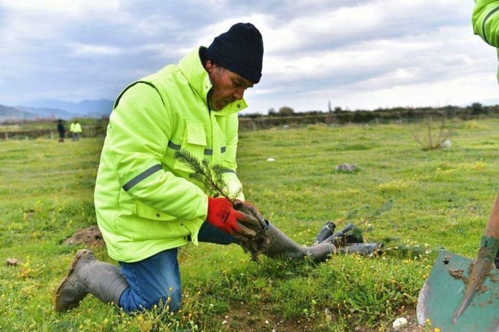 İncirliova Belediyesi 400 fidanı toprakla buluşturdu G1