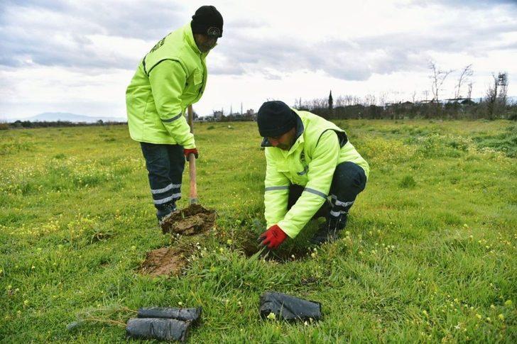 İncirliova Belediyesi 400 fidanı toprakla buluşturdu G2