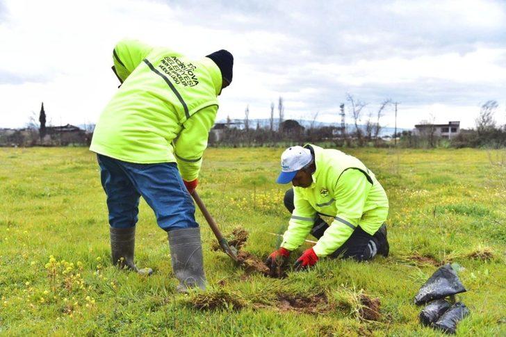 İncirliova Belediyesi 400 fidanı toprakla buluşturdu G3