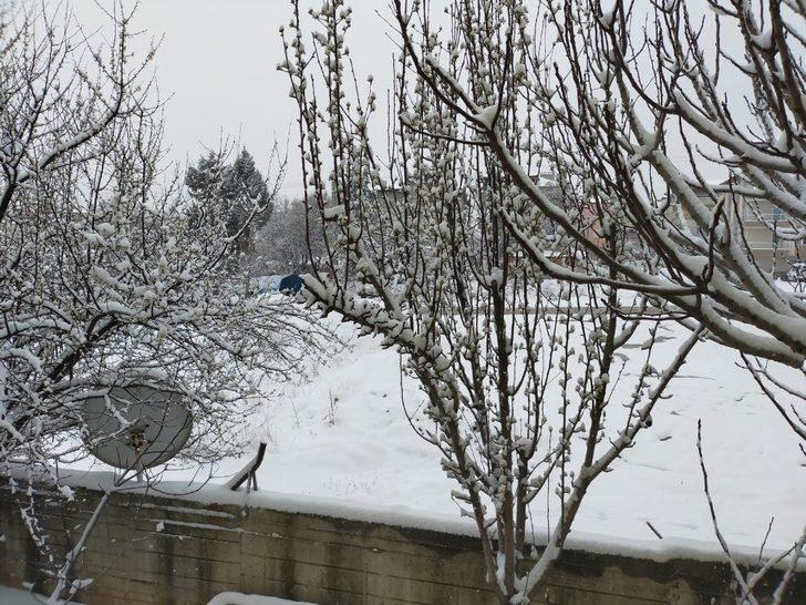 Denizli ve ilçelerine 2 günlük zirai don uyarısı G1